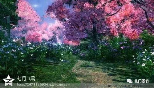 裙上繁花